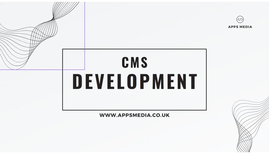 CMS Development Services in London